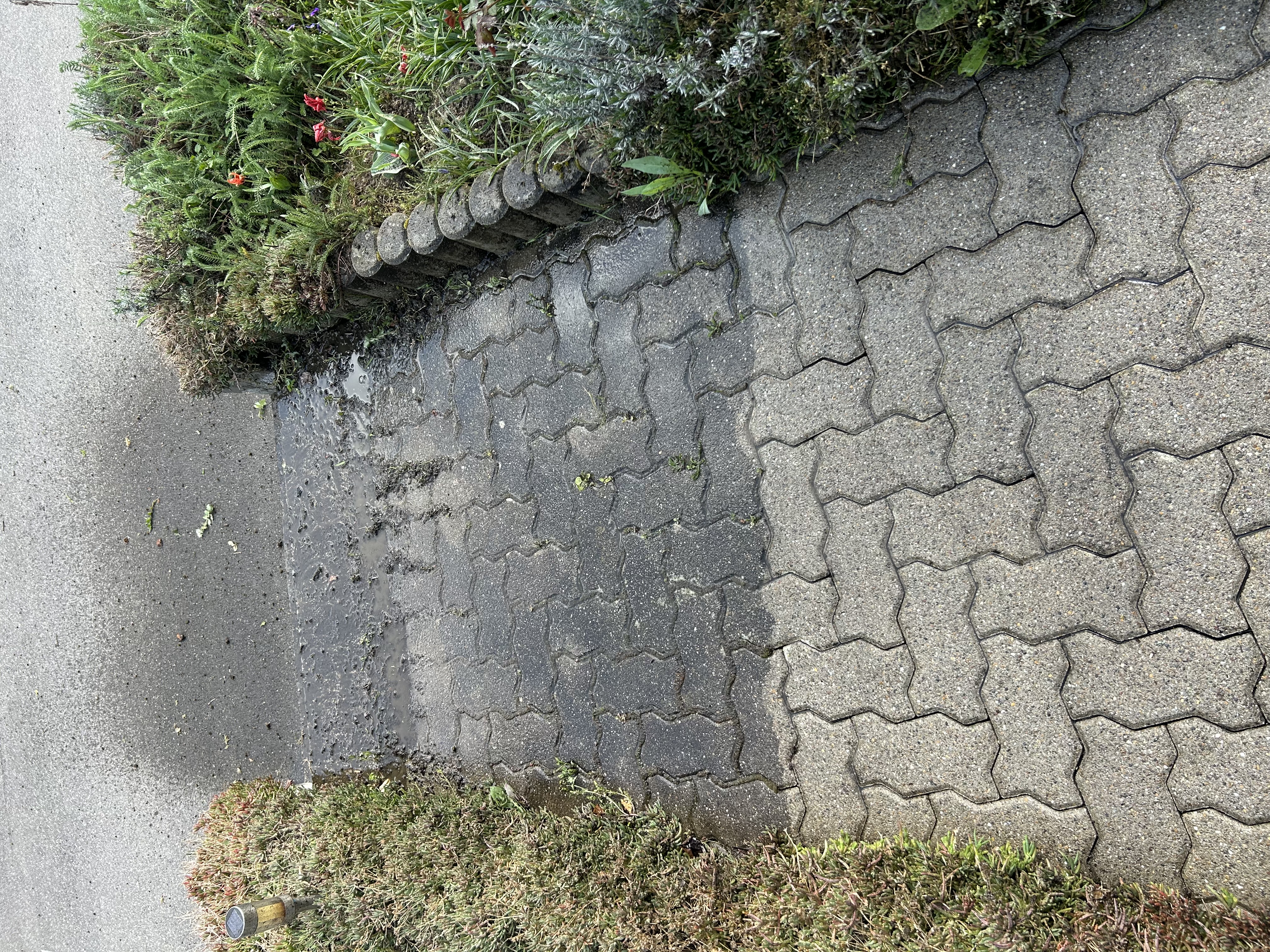 Hochdruckreinigung Terrasse Zürich – Terrassenreinigung Seebach