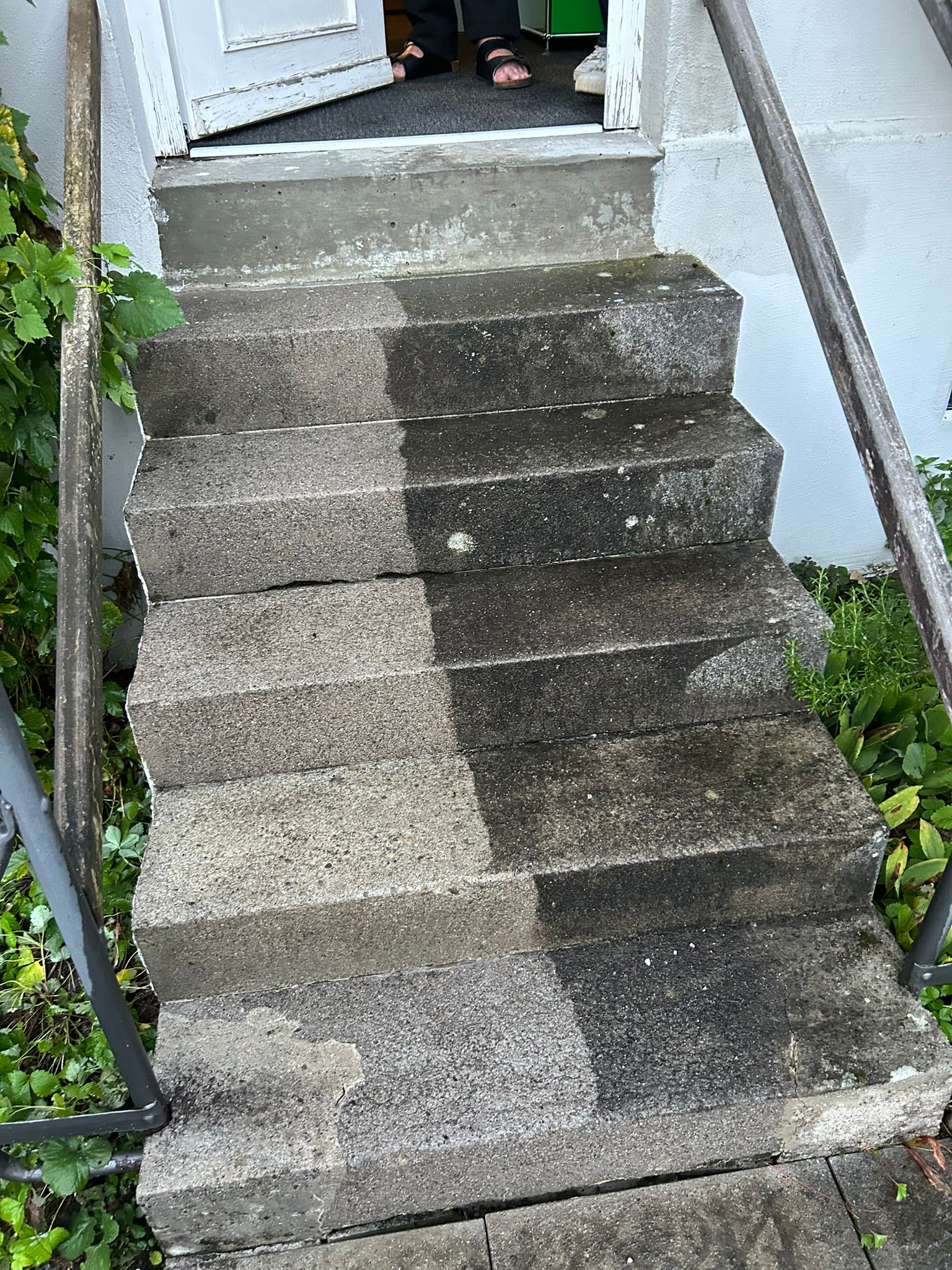 Hochdruckreinigung Treppen Zürich – Botanica Greiner